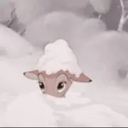 yuriの画像
