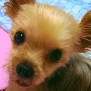 あゆちん