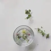a,,,