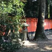 Ponzu