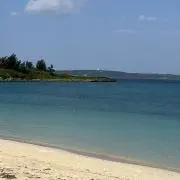 Aobaの画像