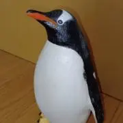 イカゲソ（プロフ読んでね）の画像