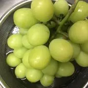 えとの画像