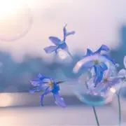 檸檬の画像