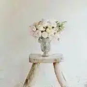 もかの画像