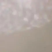 ティディの画像