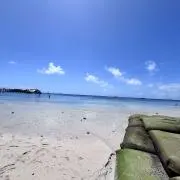 わさびのり