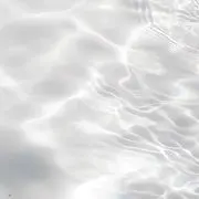 ®️の画像
