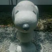Saki