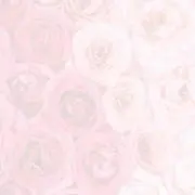 Rim プロフィール必読の画像