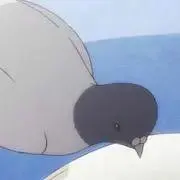 アルノー
