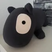 まこちんの画像