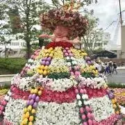 はなまるの画像