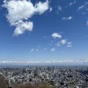 すみれ