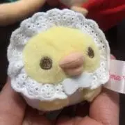 さっちんの画像