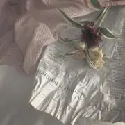 ❁りんご❁の画像