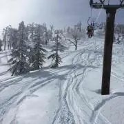 TGYの画像