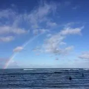 ハッピー※プロフィール確認してくださいの画像