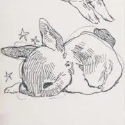s2