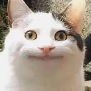 チョモランマ