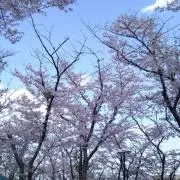 雨さん