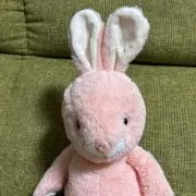 うさこの画像
