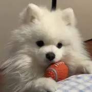 そら