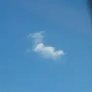 Haruの画像