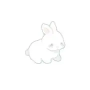 ♡（即購入可）の画像
