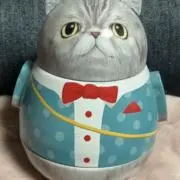 もっちゃんの画像