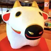 kaeの画像