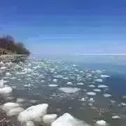 mitanの画像
