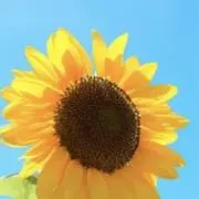 ひまえ⭐︎お菓子ブーケ✳︎プチギフトの画像