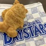 ポンちゃんの画像