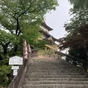 Mの画像