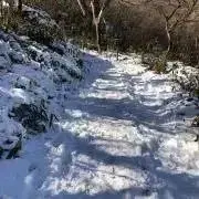 Nanaoの画像