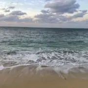 reguの画像