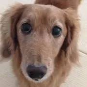 かずやん
