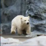 おひの画像