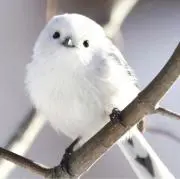 みつ⭐️即日発送の画像