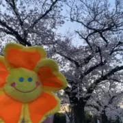 のあの画像