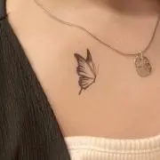 Nの画像