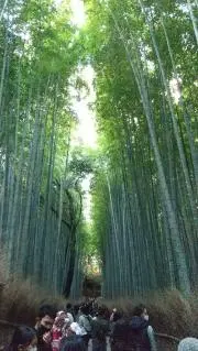 azuの画像