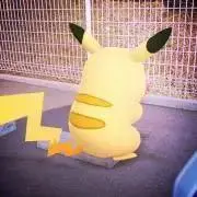 JAM