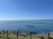 ymの画像