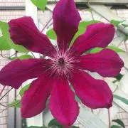 おさむ✿*の画像