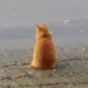 kimu