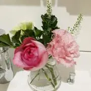 きゅー☆プロフィールご覧ください☆の画像