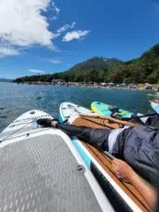 海月の画像