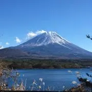 フジ子の画像